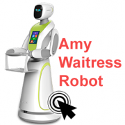 Amy Waitress