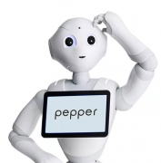 Pepper Robot Hire