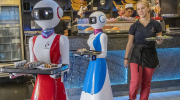 Robot Waiters: What Restaurants Need to Know